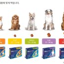 세화약국 네이버블로그