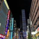 리 디자인 호텔 | 도쿄 가을여행 신주쿠 호텔 그레이스리 더블룸 후기