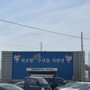 [인천/강화도] 외포항수산시장 , 강화풍물시장 | 드라이브 겸 다녀오기 좋고 볼거리 많은 곳은 여기...