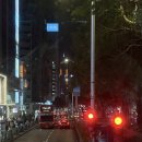 러브82쇼핑몰www.love82.kr | [홍콩 백만불 야경투어 후기] 내돈내산 홍콩 저녁 투어 / 템플스트리트 야시장, 심포니오브라이트, 피크...