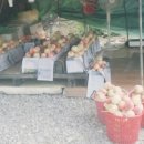 전의농장 이미지