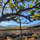 운주목장 이미지