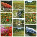 고래고래PC 이미지