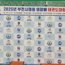 캡틴태권도
