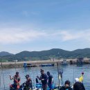 그린낚시 이미지