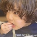 한라초밥