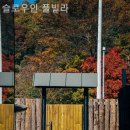 슬로우 인 풀빌라 네이버블로그