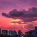 코리엔탈깻잎두마리치킨 이미지