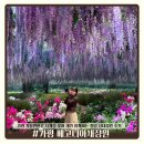 새들의 정원 | 가평 가볼만한곳 베고니아새정원 | 사계절 꽃과 새가 함께하는 힐링 실내정원 후기