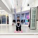 낮요가 | 성신여대 플라잉 요가 더센트럴무브먼트 직장인 리얼 후기