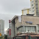 꼬미살롱