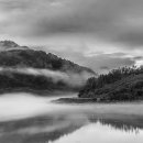 남하대야리 이미지