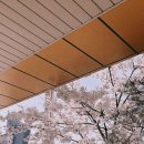 대진보건진료소 이미지