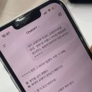 관동중학교 | 생존기