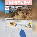 횡성 숲속의하루 펜션 허스키 개썰매 눈썰매 산천어낚시까지 겨울놀이 끝판왕