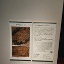 특별 전시 관람 후기 국립중앙박물관 탕탕평평 감동의 세계로 여행한 나행복 세리쌤