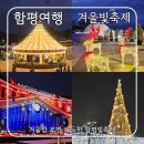 GR(함평군)-[문화로]-상-9 | 함평여행 빛이 만든 겨울 감성 여행 회전목마·국화조명·포토존 가득 ✨[함평 겨울빛축제]