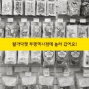 왈가닥펫 네이버블로그