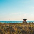 my drink museum 이미지