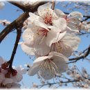 성환 농장 이미지