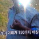 휘피