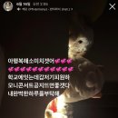 안경세상-화정점 | 8월11일 일을 내가 어 떻 게 기억하냐고(기억남)