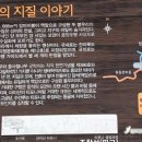 마이산길 이미지