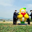 성산동고분군전시관 이미지