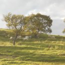 우들농장 이미지