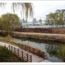 매여울생태공원 이미지