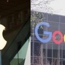 애플통상 이미지