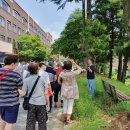 (주)비채여행문화연구소