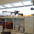 블루25 진성점 이미지