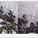 정복공인중개사사무소 이미지