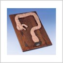 더미통상 이미지