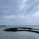 남부복지회관 | 제주 여행 : 제주 동쪽 스노쿨링 명소 김녕 청굴물 &amp; 김녕 세기알 해변 물놀이 하고 온 후기, 주차