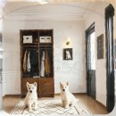 남원동물병원 | 남원시 폼스키분양 새로운 가족을 기다리며