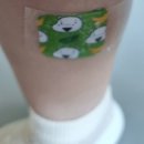 엔비어블 이미지