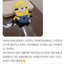 피우다, 헤어 이미지