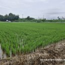 THE오름공인중개사사무소 이미지