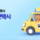 행복펫택시 이미지