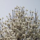 월림농장 이미지