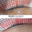 뷰티를 디자인하다