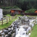 향기와 함께하는 몸과 마음 힐링 여행 이미지