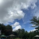 장원전자 | 시흥 | 내돈내산 하우고개 장원가든 가족모임 누룽지오리백숙, 돼지갈비 맛집