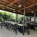 우드님프 이미지