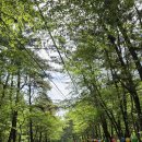 백화산입구(삭선리) 이미지