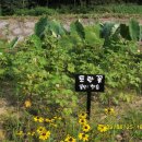 자전거교육장(천변) 이미지