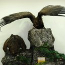 조류탐사과학관 이미지