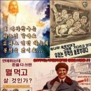 솔로하 이미지